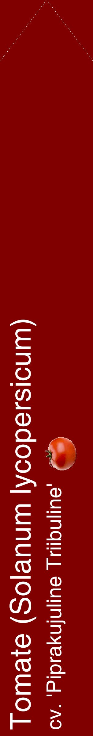 Étiquette de : Solanum lycopersicum cv. 'Piprakujuline Triibuline' - format c - style blanche29_simplehel avec comestibilité simplifiée