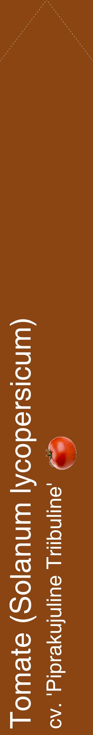 Étiquette de : Solanum lycopersicum cv. 'Piprakujuline Triibuline' - format c - style blanche30_simplehel avec comestibilité simplifiée