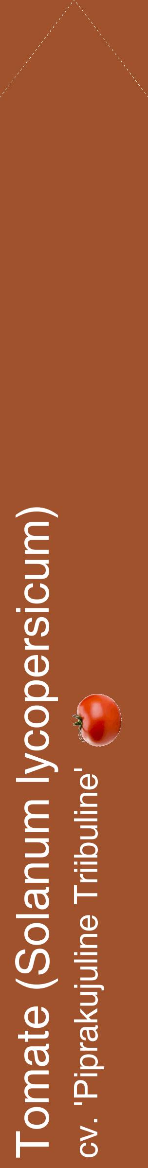 Étiquette de : Solanum lycopersicum cv. 'Piprakujuline Triibuline' - format c - style blanche32_simplehel avec comestibilité simplifiée