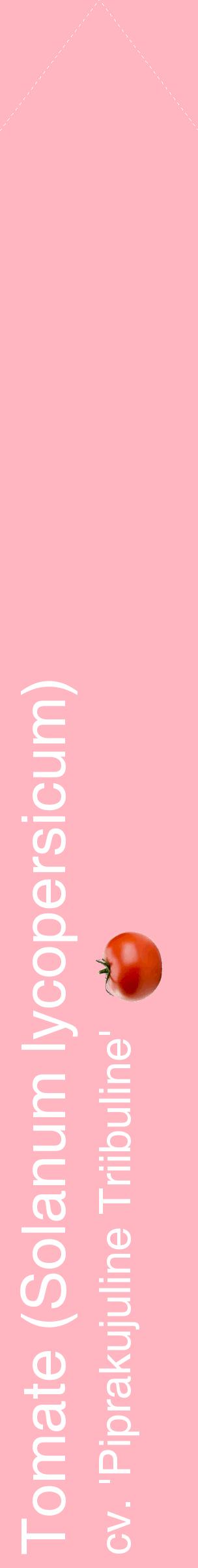 Étiquette de : Solanum lycopersicum cv. 'Piprakujuline Triibuline' - format c - style blanche41_simplehel avec comestibilité simplifiée
