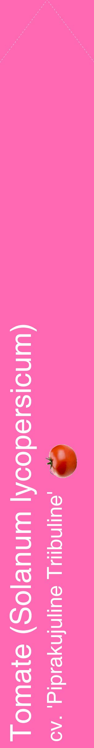 Étiquette de : Solanum lycopersicum cv. 'Piprakujuline Triibuline' - format c - style blanche42_simplehel avec comestibilité simplifiée