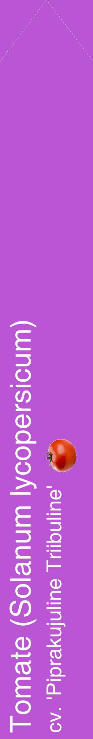 Étiquette de : Solanum lycopersicum cv. 'Piprakujuline Triibuline' - format c - style blanche50_simplehel avec comestibilité simplifiée