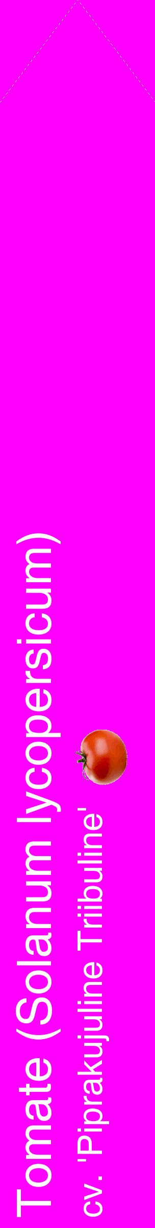 Étiquette de : Solanum lycopersicum cv. 'Piprakujuline Triibuline' - format c - style blanche51_simplehel avec comestibilité simplifiée