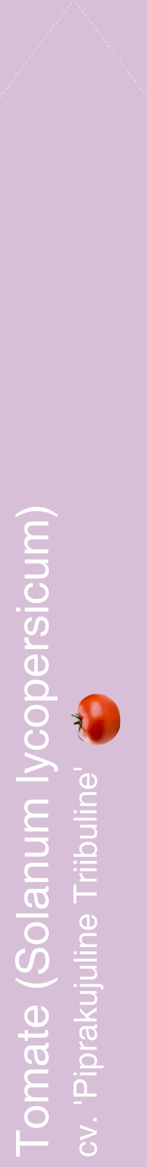 Étiquette de : Solanum lycopersicum cv. 'Piprakujuline Triibuline' - format c - style blanche54_simplehel avec comestibilité simplifiée