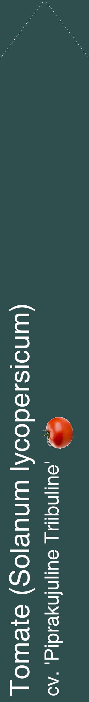 Étiquette de : Solanum lycopersicum cv. 'Piprakujuline Triibuline' - format c - style blanche58_simplehel avec comestibilité simplifiée