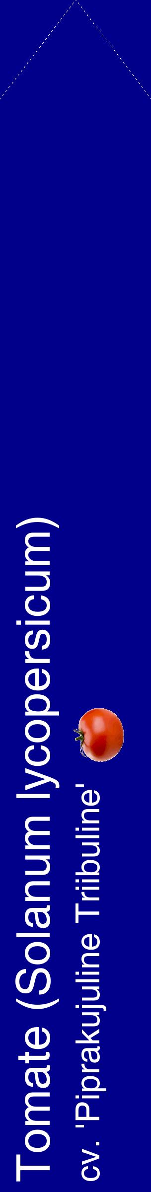 Étiquette de : Solanum lycopersicum cv. 'Piprakujuline Triibuline' - format c - style blanche7_simplehel avec comestibilité simplifiée