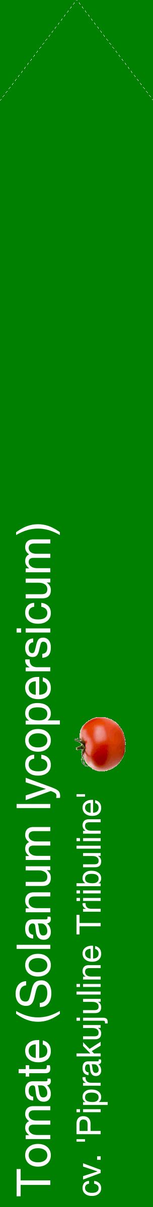 Étiquette de : Solanum lycopersicum cv. 'Piprakujuline Triibuline' - format c - style blanche9_simplehel avec comestibilité simplifiée
