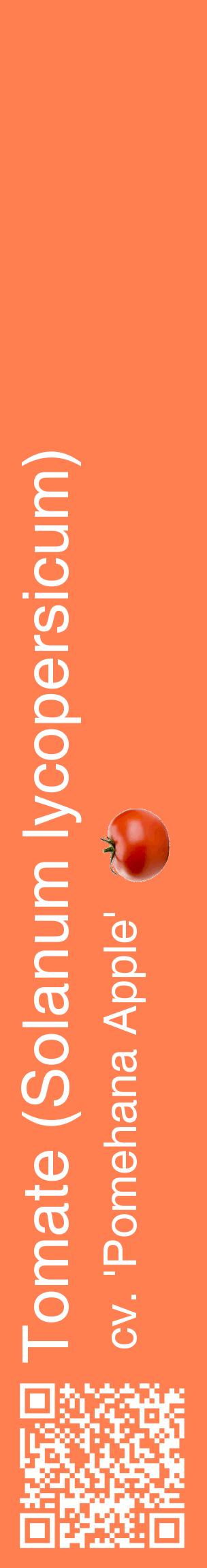 Étiquette de : Solanum lycopersicum cv. 'Pomehana Apple' - format c - style blanche24_basiquehel avec qrcode et comestibilité simplifiée