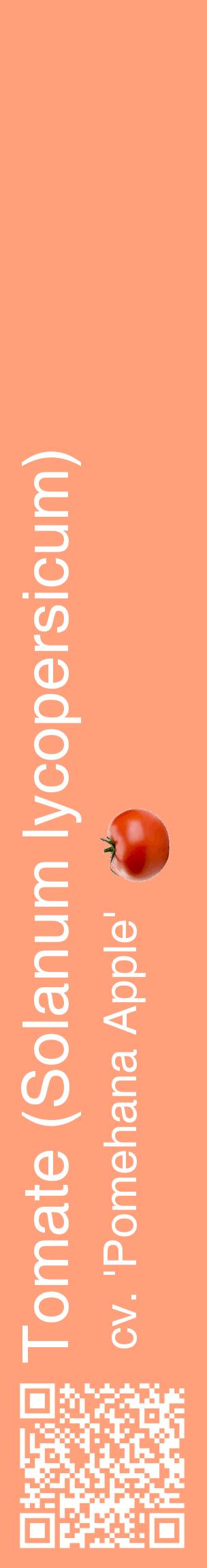 Étiquette de : Solanum lycopersicum cv. 'Pomehana Apple' - format c - style blanche39_basiquehel avec qrcode et comestibilité simplifiée