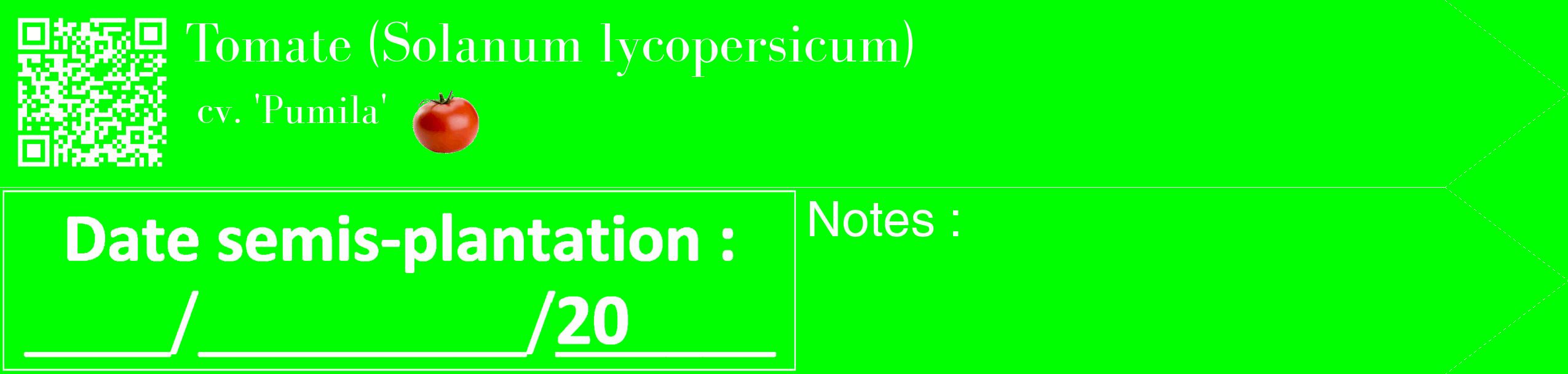 Étiquette de : Solanum lycopersicum cv. 'Pumila' - format c - style blanche16_simple_simplebod avec qrcode et comestibilité simplifiée