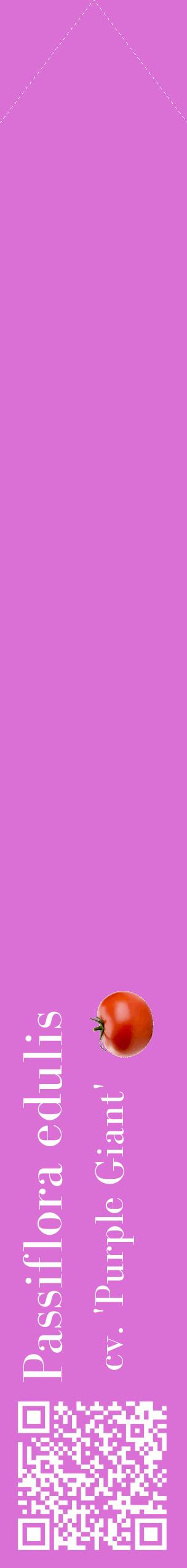 Étiquette de : Passiflora edulis cv. 'Purple Giant' - format c - style blanche52_simplebod avec qrcode et comestibilité simplifiée