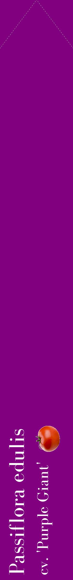 Étiquette de : Passiflora edulis cv. 'Purple Giant' - format c - style blanche46_simplebod avec comestibilité simplifiée