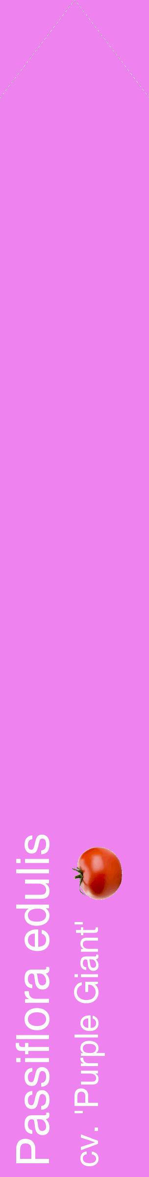 Étiquette de : Passiflora edulis cv. 'Purple Giant' - format c - style blanche53_simplehel avec comestibilité simplifiée