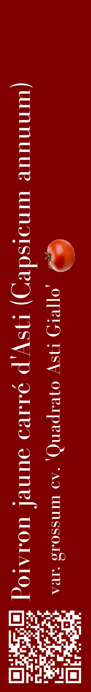Étiquette de : Capsicum annuum var. grossum cv. 'Quadrato Asti Giallo' - format c - style blanche29_basiquebod avec qrcode et comestibilité simplifiée