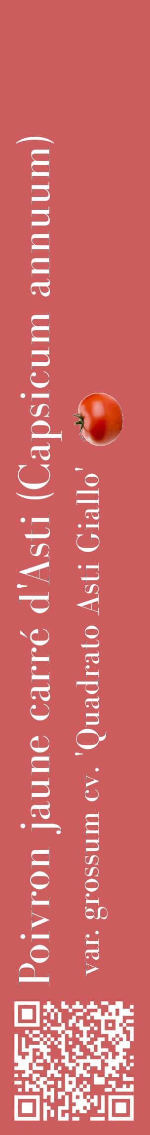 Étiquette de : Capsicum annuum var. grossum cv. 'Quadrato Asti Giallo' - format c - style blanche35_basiquebod avec qrcode et comestibilité simplifiée