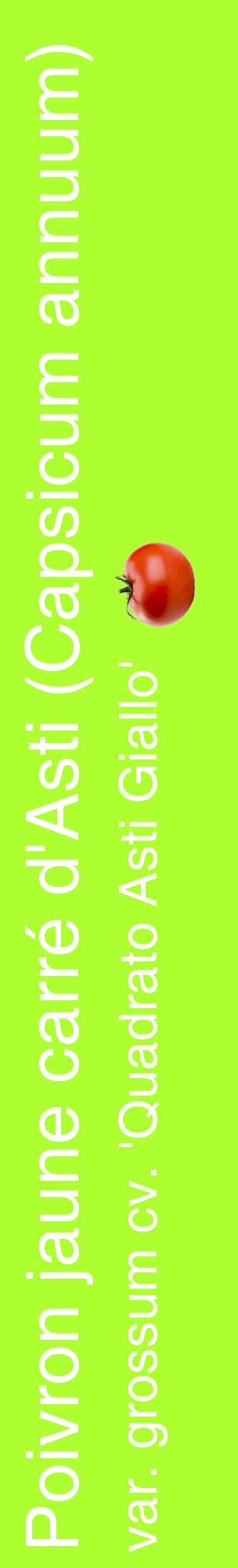Étiquette de : Capsicum annuum var. grossum cv. 'Quadrato Asti Giallo' - format c - style blanche17_basiquehel avec comestibilité simplifiée
