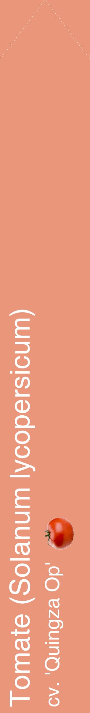 Étiquette de : Solanum lycopersicum cv. 'Quingza Op' - format c - style blanche37_simplehel avec comestibilité simplifiée