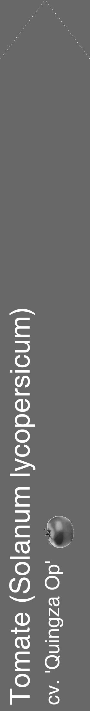 Étiquette de : Solanum lycopersicum cv. 'Quingza Op' - format c - style blanche6_simple_simplehel avec comestibilité simplifiée - position verticale