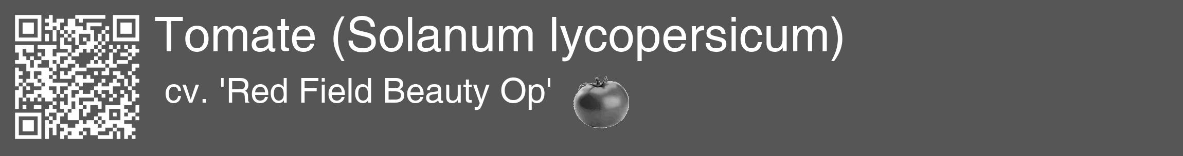 Étiquette de : Solanum lycopersicum cv. 'Red Field Beauty Op' - format c - style blanche45_basique_basiquehel avec qrcode et comestibilité simplifiée