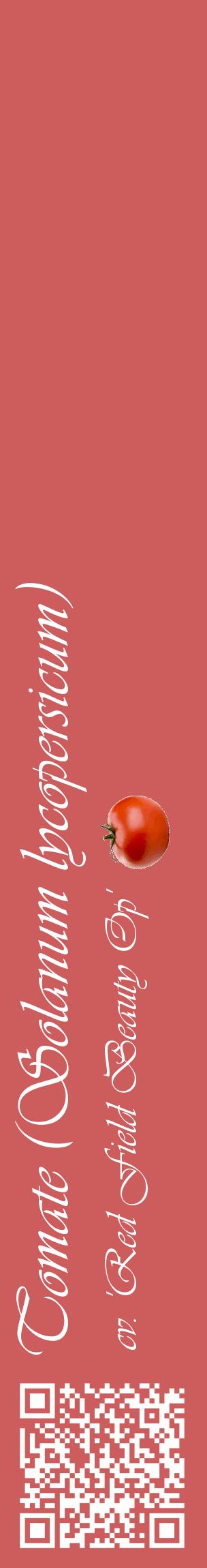 Étiquette de : Solanum lycopersicum cv. 'Red Field Beauty Op' - format c - style blanche35_basiqueviv avec qrcode et comestibilité simplifiée