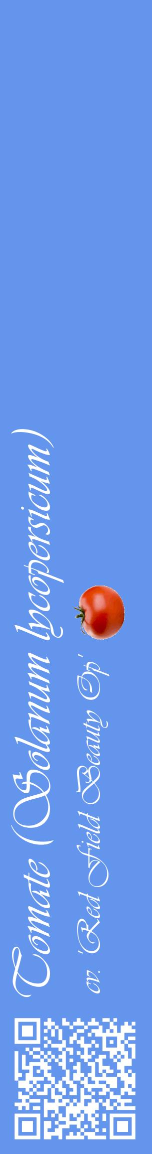 Étiquette de : Solanum lycopersicum cv. 'Red Field Beauty Op' - format c - style blanche4_basiqueviv avec qrcode et comestibilité simplifiée
