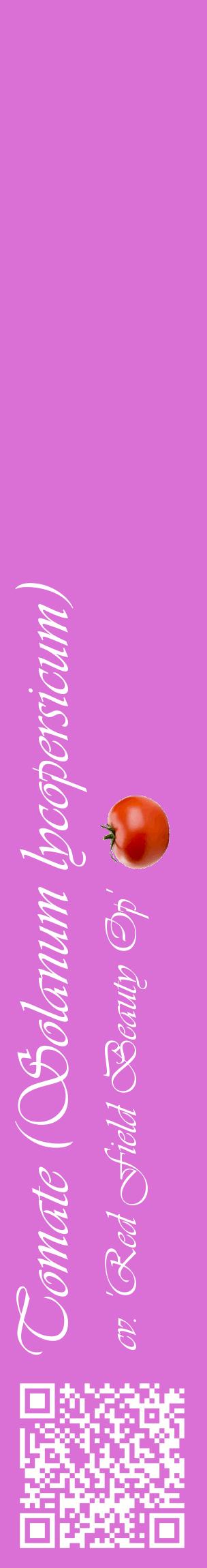 Étiquette de : Solanum lycopersicum cv. 'Red Field Beauty Op' - format c - style blanche52_basiqueviv avec qrcode et comestibilité simplifiée