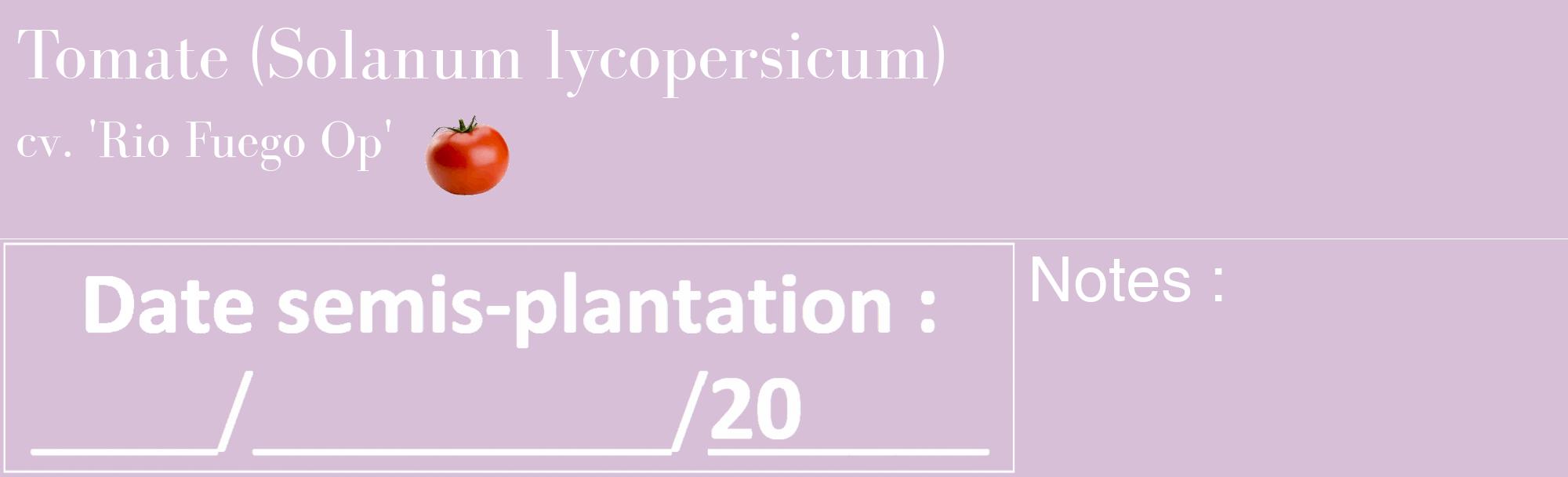 Étiquette de : Solanum lycopersicum cv. 'Rio Fuego Op' - format c - style blanche54_basique_basiquebod avec comestibilité simplifiée