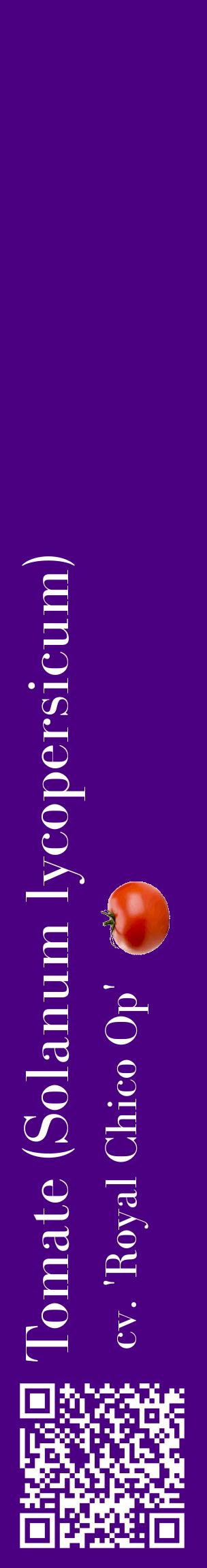 Étiquette de : Solanum lycopersicum cv. 'Royal Chico Op' - format c - style blanche47_basiquebod avec qrcode et comestibilité simplifiée