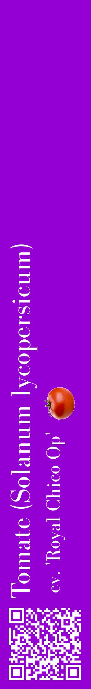 Étiquette de : Solanum lycopersicum cv. 'Royal Chico Op' - format c - style blanche48basique_basique_basiquebod avec qrcode et comestibilité simplifiée - position verticale