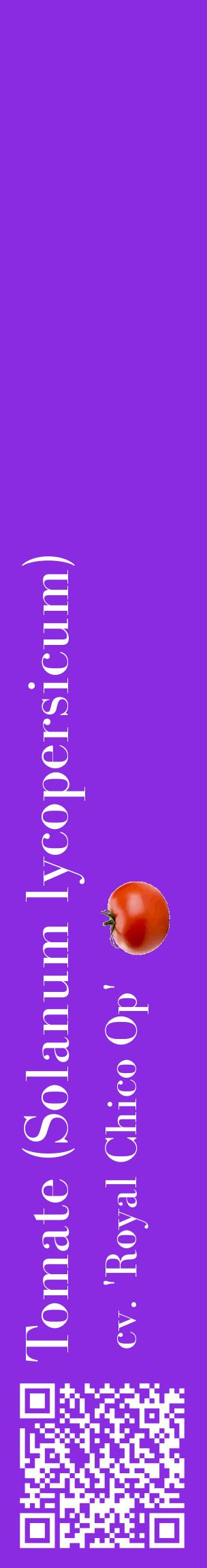 Étiquette de : Solanum lycopersicum cv. 'Royal Chico Op' - format c - style blanche49_basiquebod avec qrcode et comestibilité simplifiée