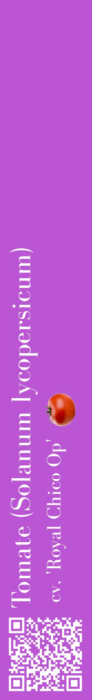 Étiquette de : Solanum lycopersicum cv. 'Royal Chico Op' - format c - style blanche50_basiquebod avec qrcode et comestibilité simplifiée
