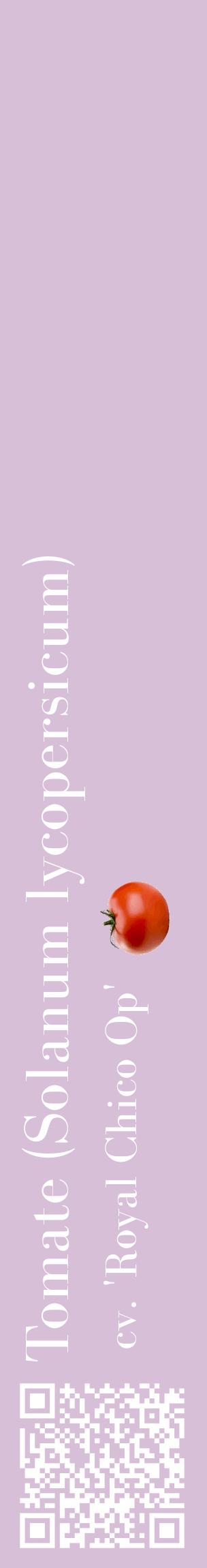 Étiquette de : Solanum lycopersicum cv. 'Royal Chico Op' - format c - style blanche54_basiquebod avec qrcode et comestibilité simplifiée