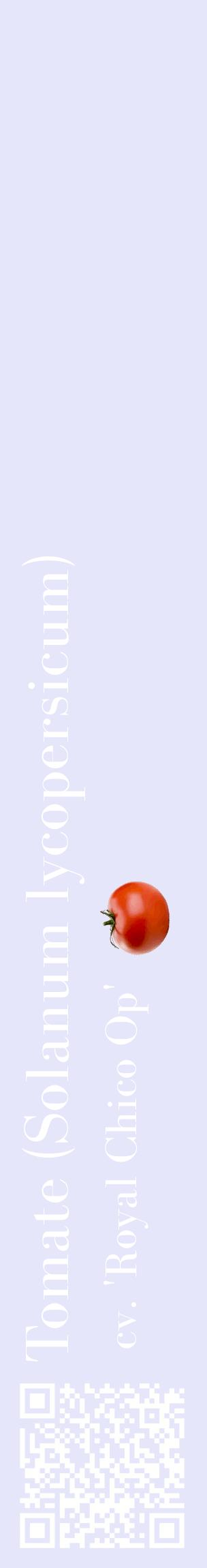 Étiquette de : Solanum lycopersicum cv. 'Royal Chico Op' - format c - style blanche55_basiquebod avec qrcode et comestibilité simplifiée