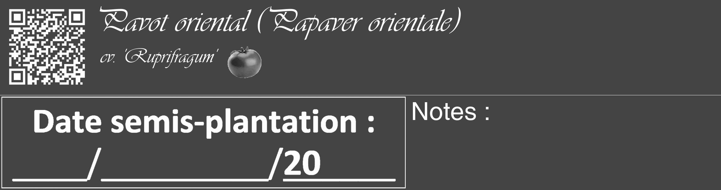 Étiquette de : Papaver orientale cv. 'Ruprifragum' - format c - style blanche48_basique_basiqueviv avec qrcode et comestibilité simplifiée
