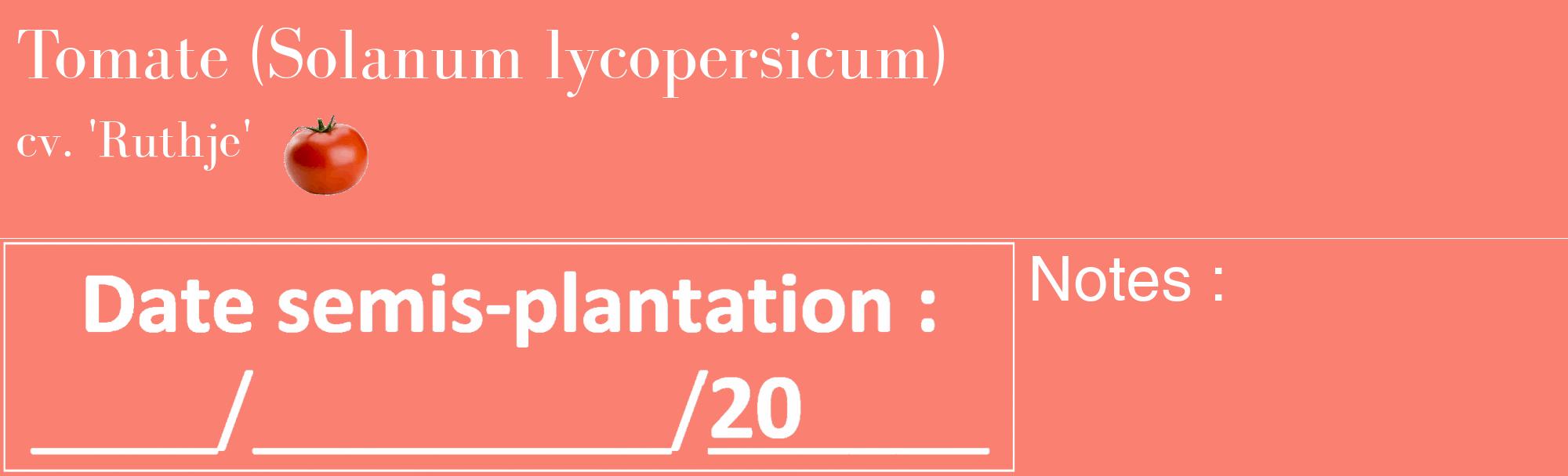 Étiquette de : Solanum lycopersicum cv. 'Ruthje' - format c - style blanche38_basique_basiquebod avec comestibilité simplifiée