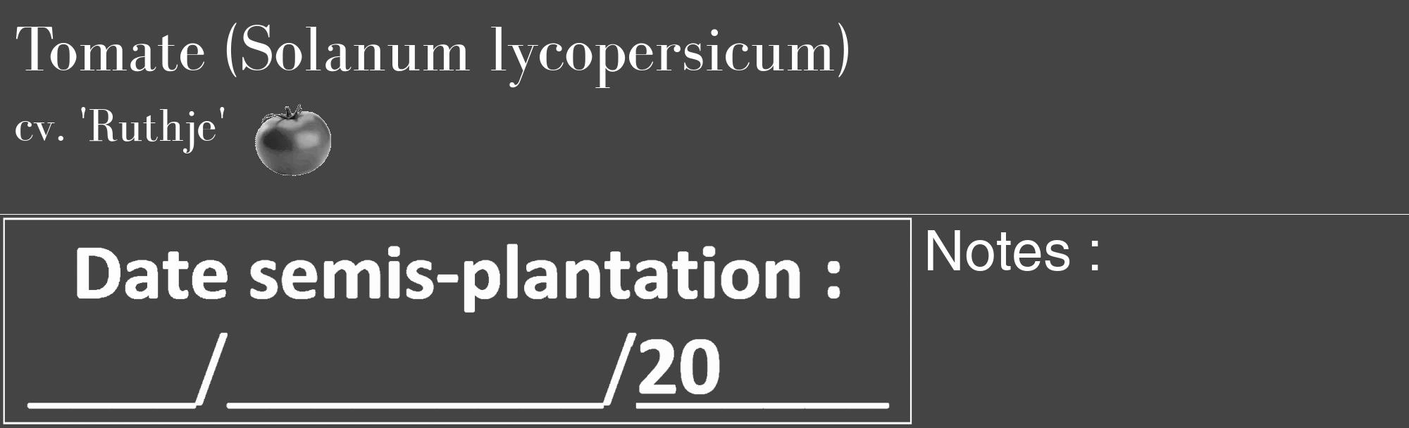 Étiquette de : Solanum lycopersicum cv. 'Ruthje' - format c - style blanche48_basique_basiquebod avec comestibilité simplifiée