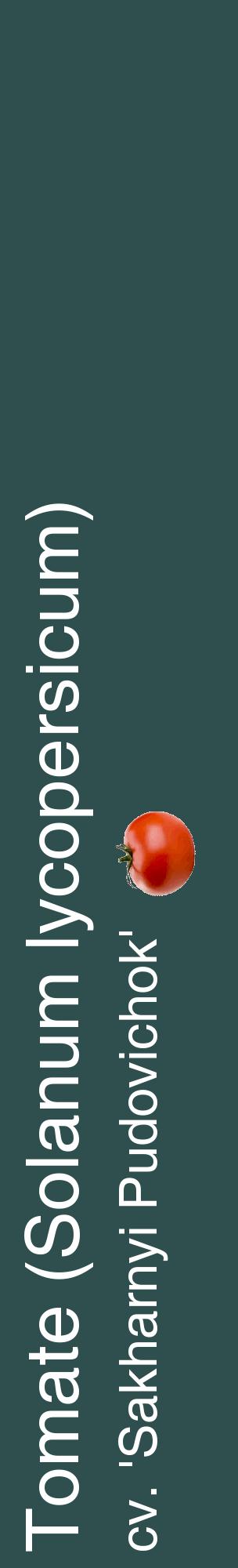 Étiquette de : Solanum lycopersicum cv. 'Sakharnyi Pudovichok' - format c - style blanche58_basiquehel avec comestibilité simplifiée
