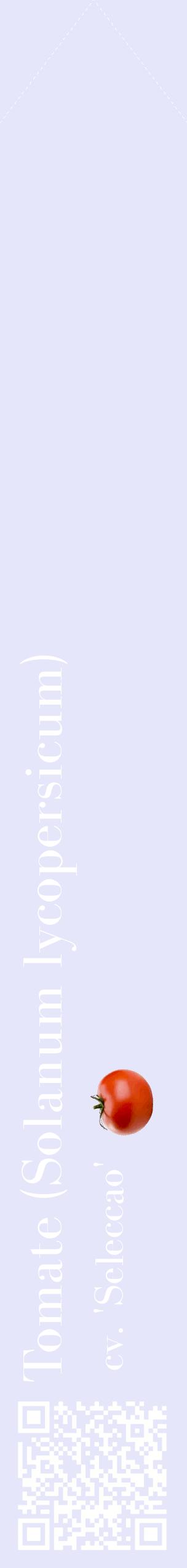 Étiquette de : Solanum lycopersicum cv. 'Seleccao' - format c - style blanche55_simplebod avec qrcode et comestibilité simplifiée