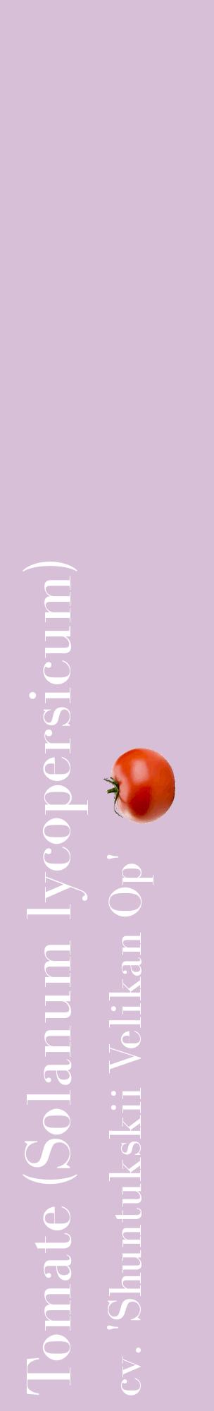Étiquette de : Solanum lycopersicum cv. 'Shuntukskii Velikan Op' - format c - style blanche54_basiquebod avec comestibilité simplifiée