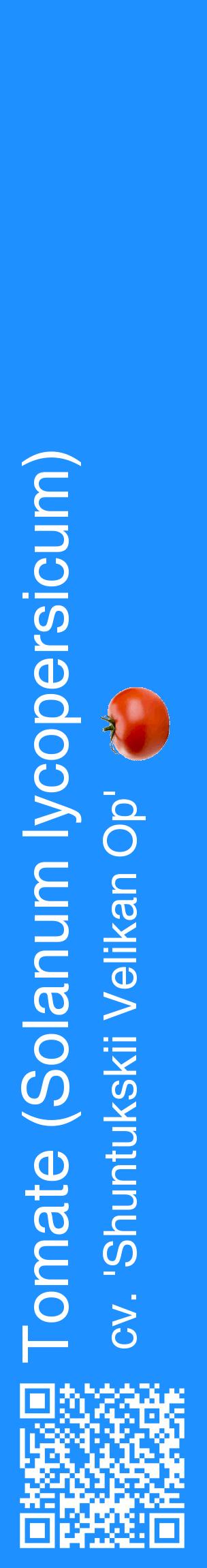 Étiquette de : Solanum lycopersicum cv. 'Shuntukskii Velikan Op' - format c - style blanche3_basiquehel avec qrcode et comestibilité simplifiée
