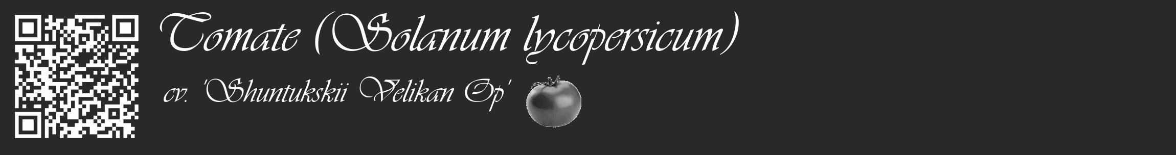 Étiquette de : Solanum lycopersicum cv. 'Shuntukskii Velikan Op' - format c - style blanche34_basique_basiqueviv avec qrcode et comestibilité simplifiée