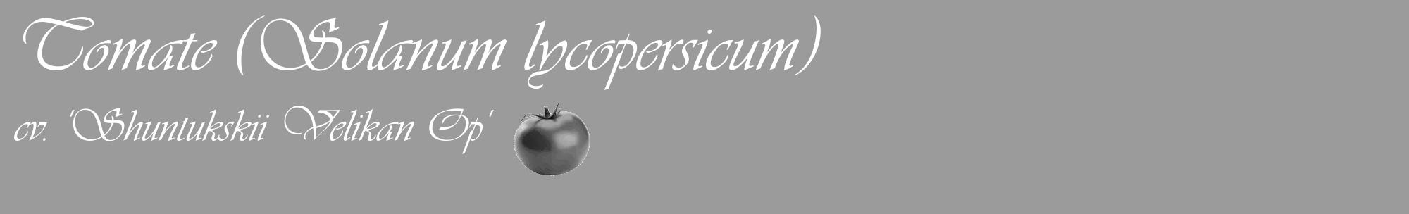 Étiquette de : Solanum lycopersicum cv. 'Shuntukskii Velikan Op' - format c - style blanche52_basique_basiqueviv avec comestibilité simplifiée