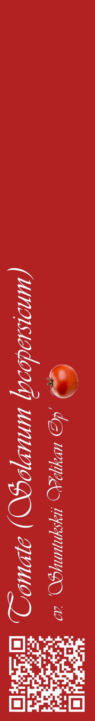 Étiquette de : Solanum lycopersicum cv. 'Shuntukskii Velikan Op' - format c - style blanche28_basiqueviv avec qrcode et comestibilité simplifiée