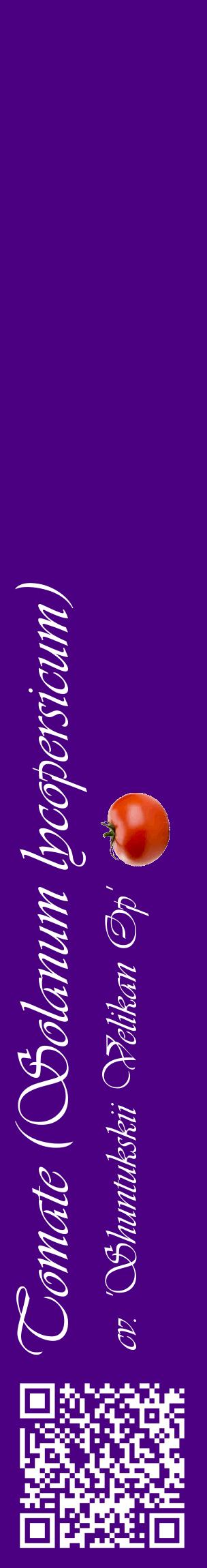 Étiquette de : Solanum lycopersicum cv. 'Shuntukskii Velikan Op' - format c - style blanche47_basiqueviv avec qrcode et comestibilité simplifiée