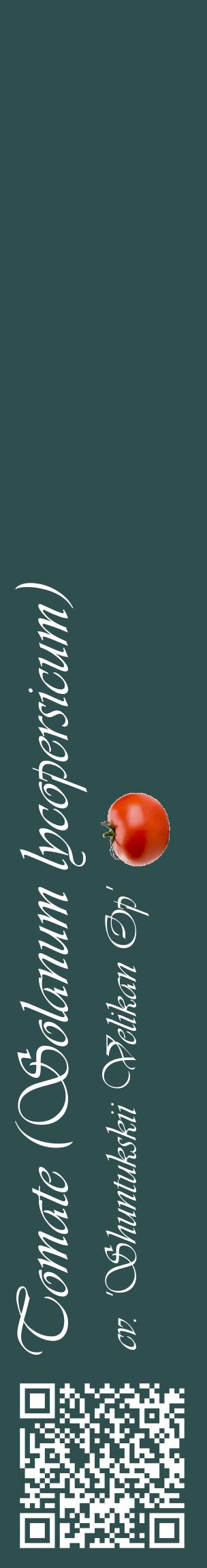 Étiquette de : Solanum lycopersicum cv. 'Shuntukskii Velikan Op' - format c - style blanche58_basiqueviv avec qrcode et comestibilité simplifiée