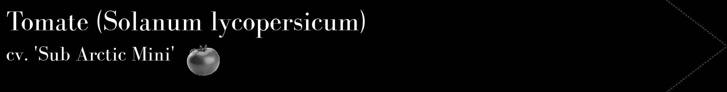 Étiquette de : Solanum lycopersicum cv. 'Sub Arctic Mini' - format c - style blanche59_simple_simplebod avec comestibilité simplifiée