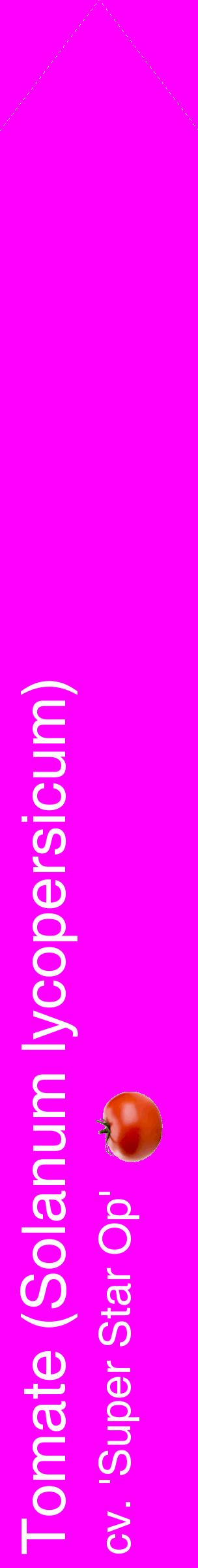 Étiquette de : Solanum lycopersicum cv. 'Super Star Op' - format c - style blanche51_simplehel avec comestibilité simplifiée