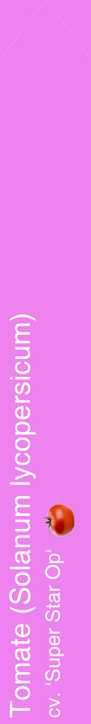 Étiquette de : Solanum lycopersicum cv. 'Super Star Op' - format c - style blanche53_simplehel avec comestibilité simplifiée
