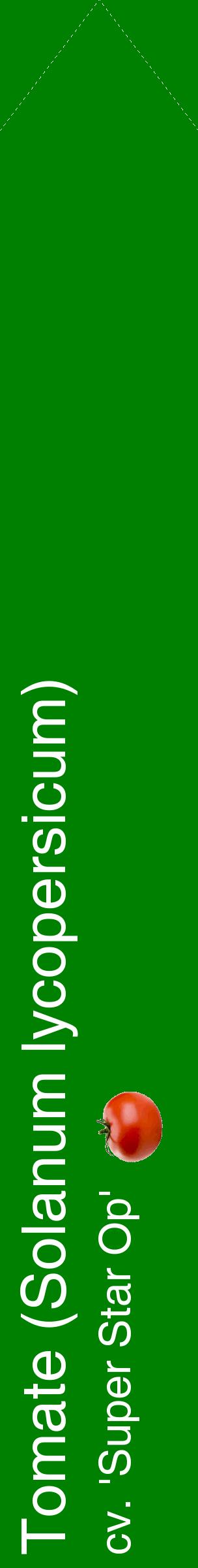 Étiquette de : Solanum lycopersicum cv. 'Super Star Op' - format c - style blanche9_simplehel avec comestibilité simplifiée