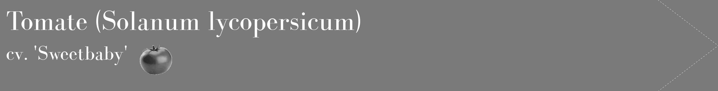 Étiquette de : Solanum lycopersicum cv. 'Sweetbaby' - format c - style blanche3_simple_simplebod avec comestibilité simplifiée